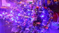 20161227_195639.jpg