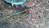 P_20160308_110619.jpg
