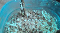 P_20160308_110254.jpg