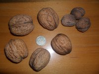 1gro5WQnf9g.jpg