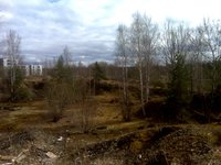 между берез