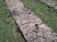 IMG_4855.jpg