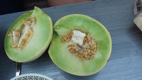 DSC07050-1.jpg