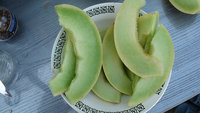 DSC07054-1.jpg
