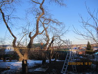 IMG_9695.JPG