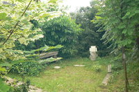 P1270433.JPG