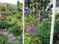 IMG_2104.JPG