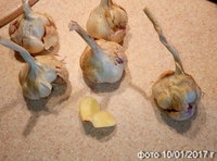 P70110-103359.jpg