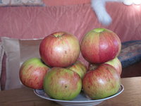 IMG_5358.JPG