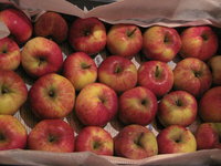 IMG_5368.JPG