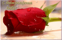 image.gif