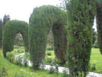 P4250054.JPG