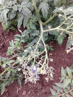 20160729_170941.jpg