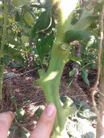 20160814_170230.jpg