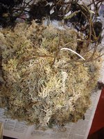 IMG_2179.JPG