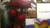 Извините за качество
