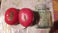 20160804_221549.jpg