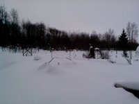 IMG_20170123_105608.jpg