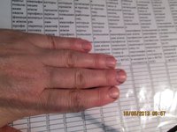 Изображение 087.jpg