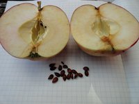 DSC05412-01.jpg