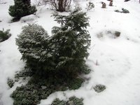 IMG_2233.JPG