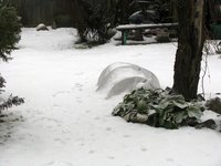 IMG_2235.JPG