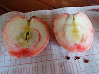 DSC05457-01.jpg
