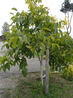 DSC05631-01.jpg