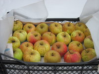 IMG_5464.JPG