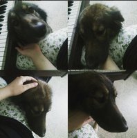 Безымянный.jpg
