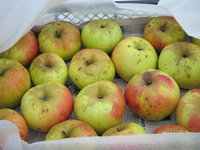 IMG_5468.JPG