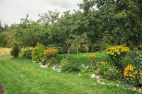 IMG_9773.jpg