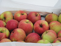 IMG_5474.JPG