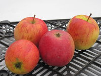 IMG_5459.JPG
