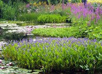 0_15184f_4fada6a2_orig1.jpg