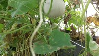 20160809_103636.jpg