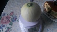 20160811_192513.jpg