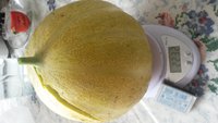 20160727_103710.jpg