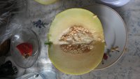 20160727_104049.jpg