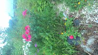 P_20160822_090457.jpg