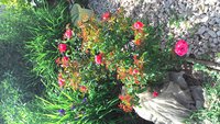 P_20160628_154349.jpg