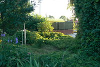 P1100820.JPG