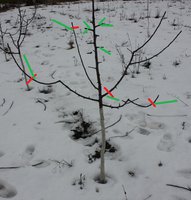 6a75266920f7.jpg