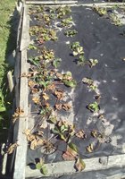 IMG_20160827_131945.jpg