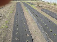 2013-05-14 13.03.19.jpg