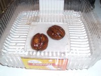 SL735615.JPG