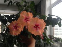 IMG_5644.JPG