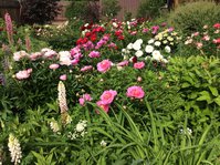 IMG_6892.JPG