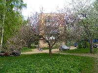 DSCN4321.jpg
