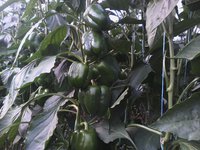 img20151024100941.jpg